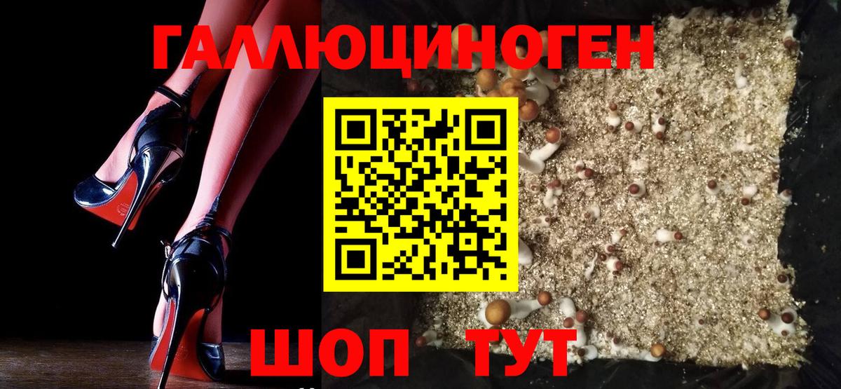 Галлюциногенные грибы MAGIC MUSHROOMS  Псилоцибиновые грибы прущие грибы  даркнет сайт  Сертолово  Вход с VPN 